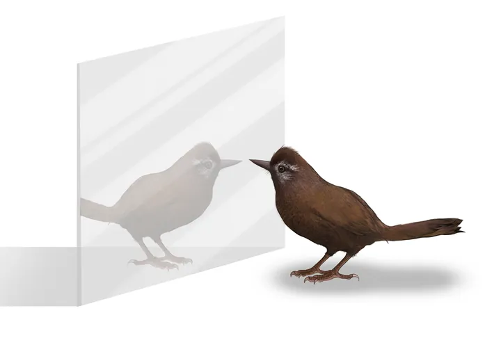 Tiere · Glasvogel