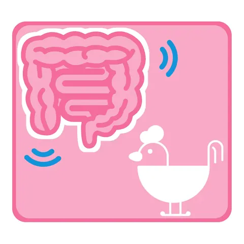 Organ- & Tiericons · Icon