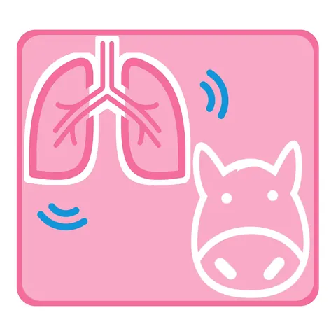 Organ- & Tiericons · Icon
