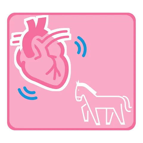 Organ- & Tiericons · Icon