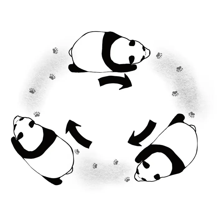 Animal illustrations (panda · birds · monkey)