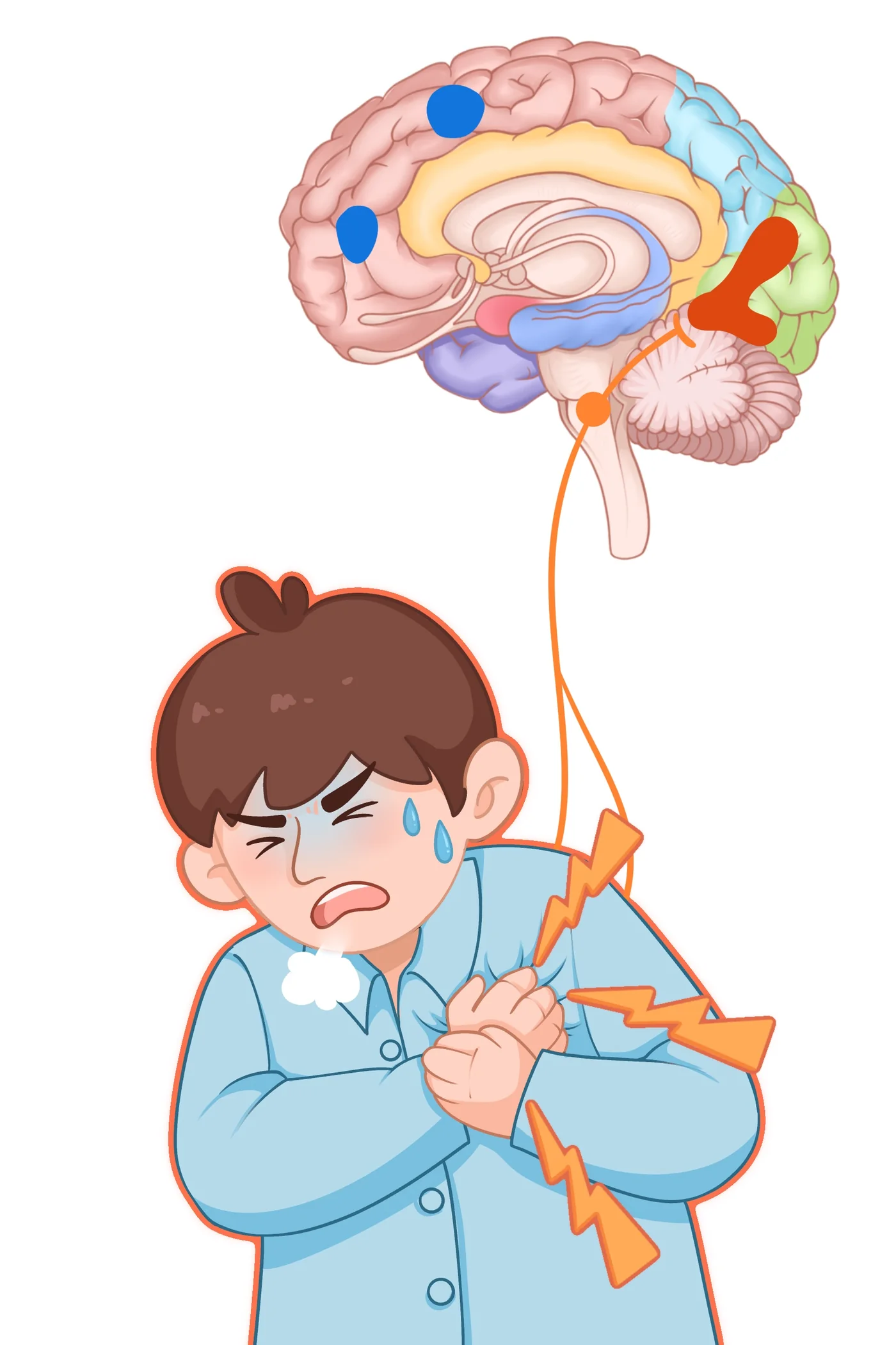 Emotion and brain illustrations