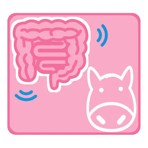 Organ & animal call icons · icon
