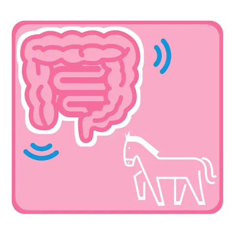 Organ & animal call icons · icon