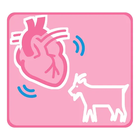 Organ & animal call icons · icon