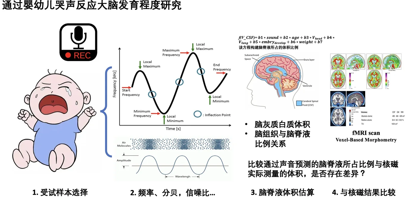 嬰兒哭聲：大腦發育的研究窗口