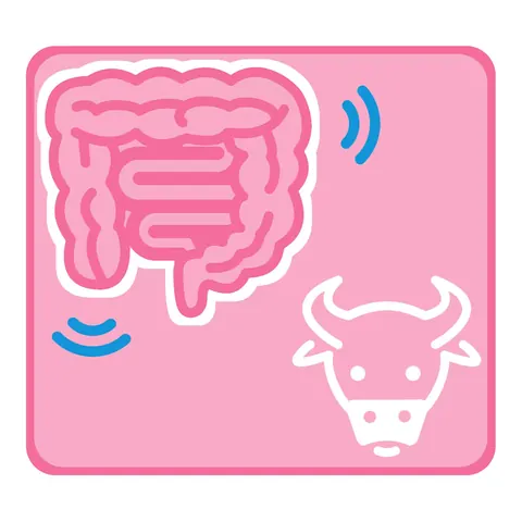器官與動物叫聲圖標（系列） · 圖標