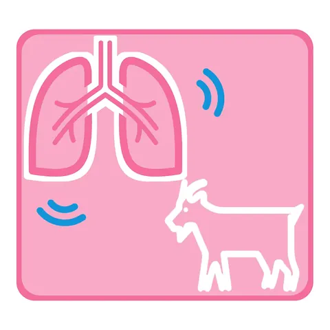 器官與動物叫聲圖標（系列） · 圖標